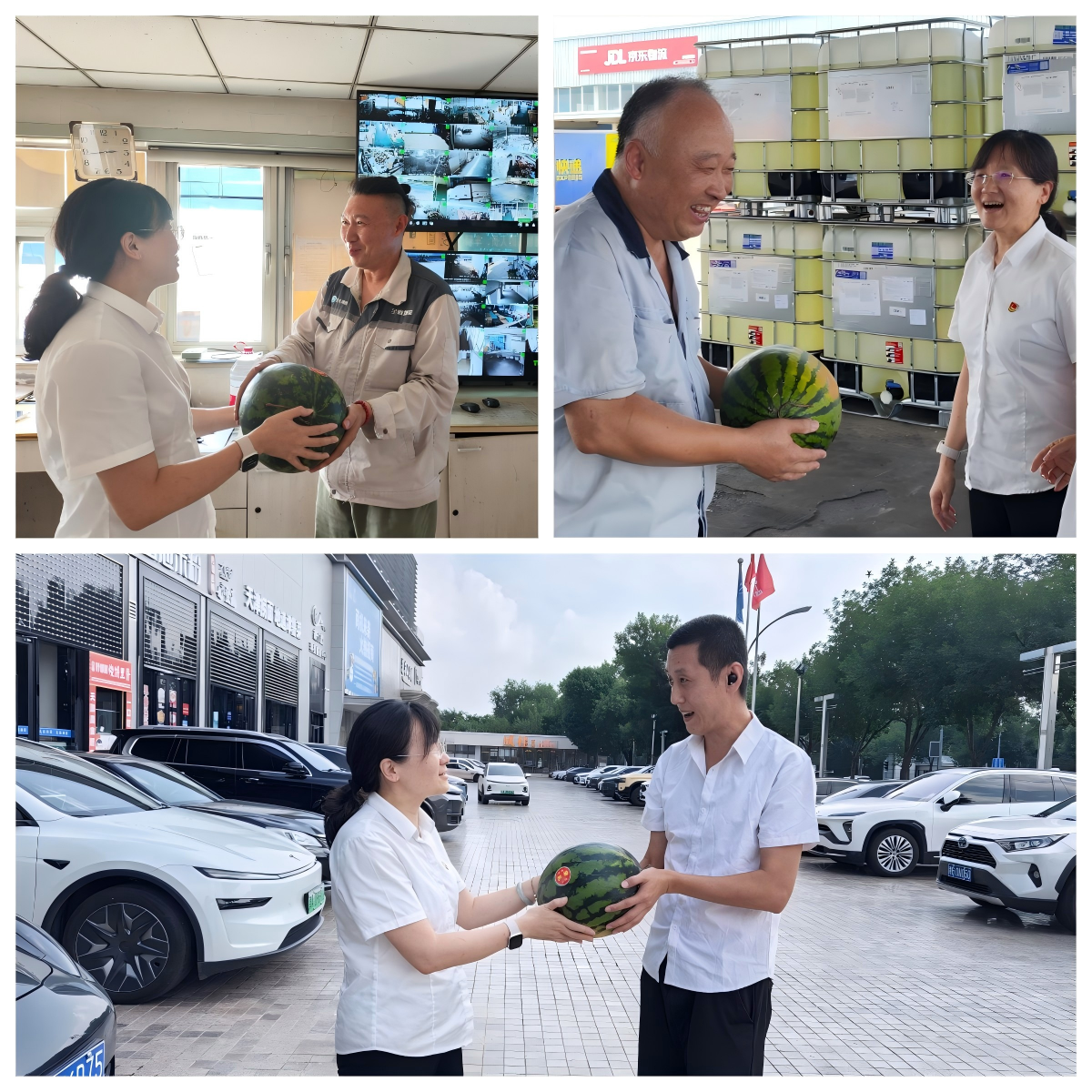 2082286392203800576.png WPS拼图1.png